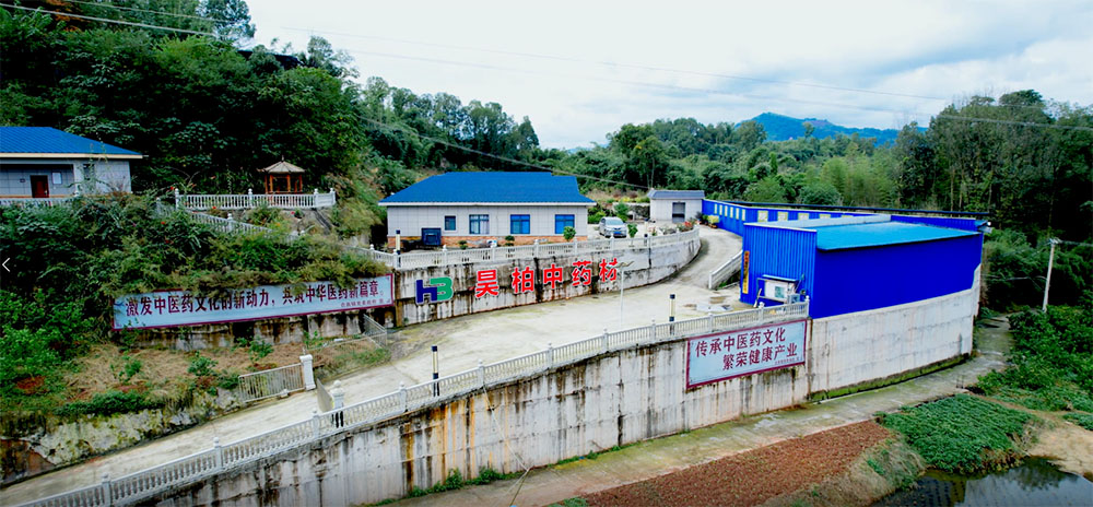 中药材生产基地.jpg